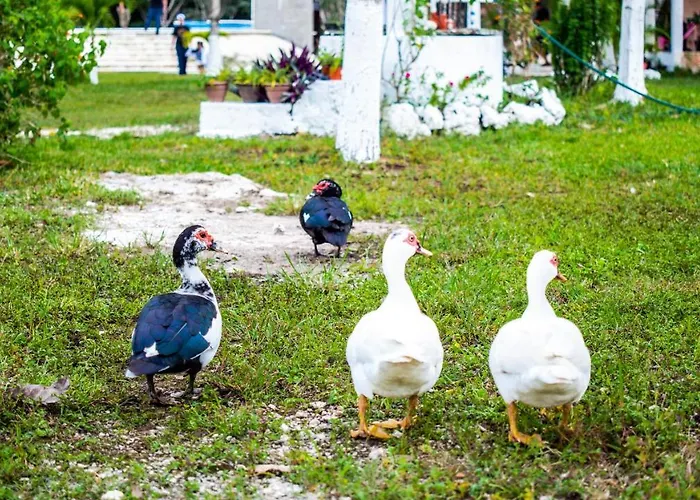 Aldea Isla Sagrada Lodge *